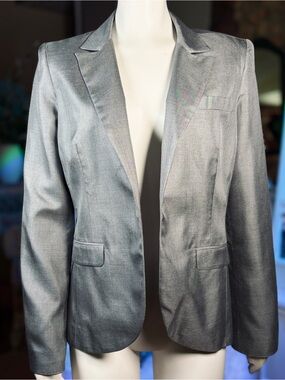 Frank Tell 100% Silk Silver Gray Buttonless Blazer Jacket, Szs 8 & 10